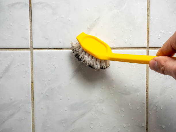 Best Attic Mold Removal  in Washington, PA