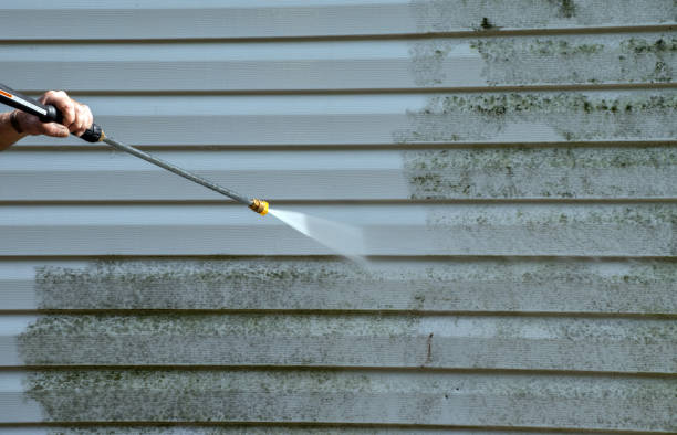Mold Testing and Removal in Washington, PA